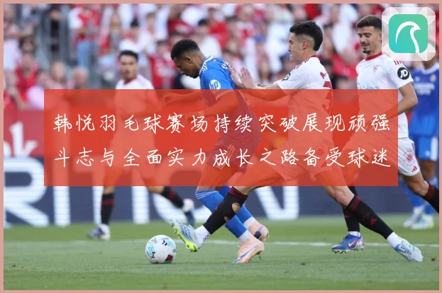 韩悦羽毛球赛场持续突破展现顽强斗志与全面实力成长之路备受球迷关注解析